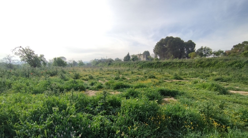 Lérida - Castelldans - 6500m2
