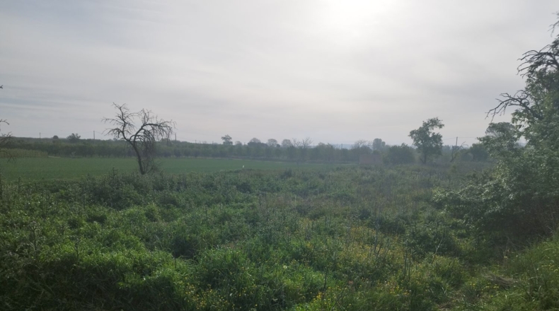Lérida - Castelldans - 6500m2
