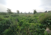 Terreny no urbanitzable en venda a Castelldans ref.: TR412493 foto