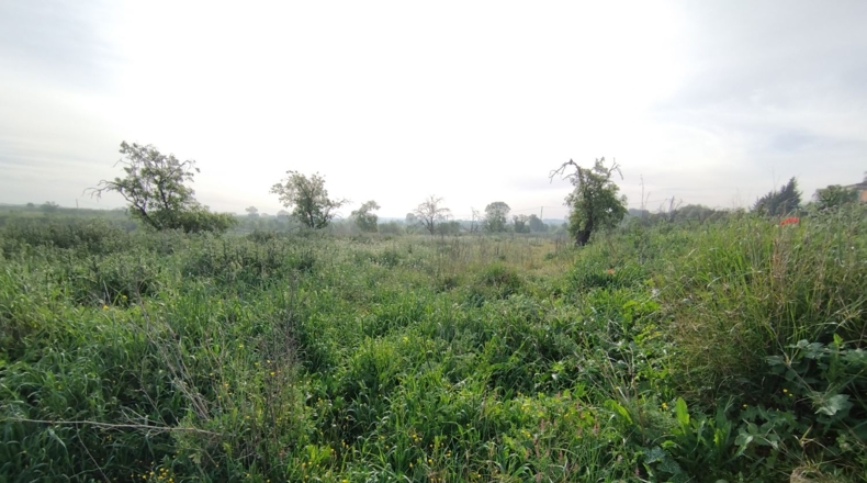 Lérida - Castelldans - 6500m2