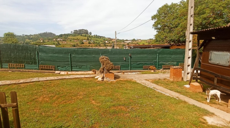 Asturias - Gijón - 1158m2