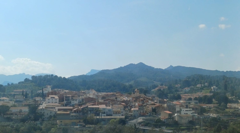 Tarragona - Riudecanyes - 33561m2