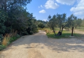 Non-developable land for sale in Riudecanyes ref: TR412502 photo