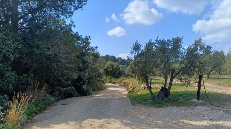 Tarragona - Riudecanyes - 33561m2