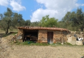 Non-developable land for sale in Riudecanyes ref: TR412502 photo