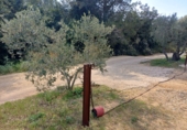 Non-developable land for sale in Riudecanyes ref: TR412502 photo