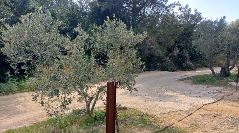 Tarragona - Riudecanyes - 33561m2