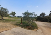 Non-developable land for sale in Riudecanyes ref: TR412502 photo