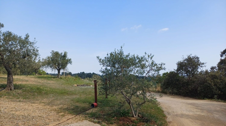 Tarragona - Riudecanyes - 33561m2
