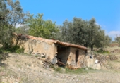 Non-developable land for sale in Riudecanyes ref: TR412502 photo