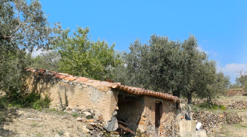 Tarragona - Riudecanyes - 33561m2