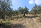 Non-developable land for sale in Riudecanyes ref: TR412502 photo