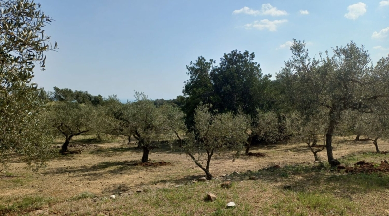 Tarragona - Riudecanyes - 33561m2