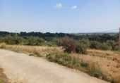 Non-developable land for sale in Riudecanyes ref: TR412502 photo