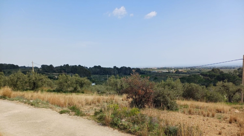 Tarragona - Riudecanyes - 33561m2
