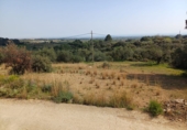 Non-developable land for sale in Riudecanyes ref: TR412502 photo