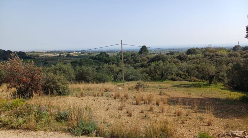 Tarragona - Riudecanyes - 33561m2