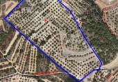 Non-developable land for sale in Riudecanyes ref: TR412502 photo