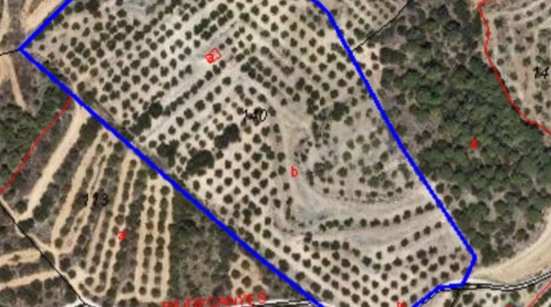 Tarragona - Riudecanyes - 33561m2