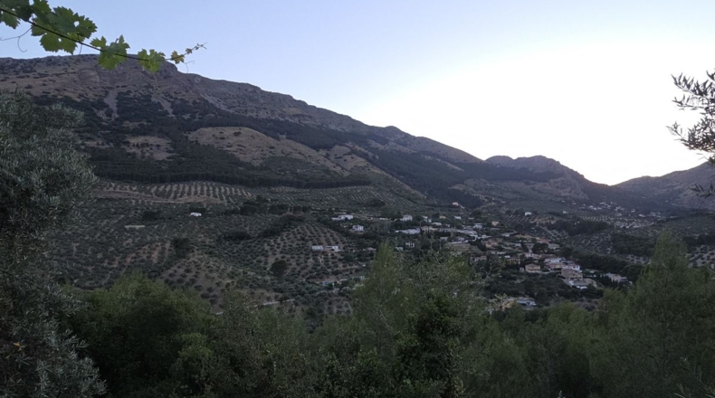 Jaén - Хаэн - 9500m2