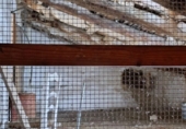 Village house for sale in Úbeda ref: TR412504 photo