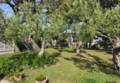Chalet independiente con terreno en venta en Sant Jaume d'Enveja ref: TR412508 foto