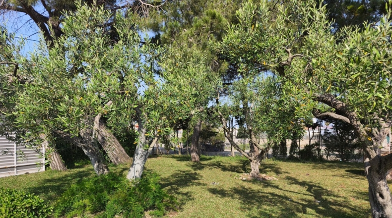 Tarragona - Sant Jaume d'Enveja - 1279m2