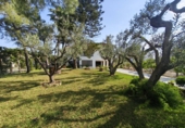 Chalet independiente con terreno en venta en Sant Jaume d'Enveja ref: TR412508 foto