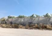 Non-developable land for sale on España, Aspe, ref: TR412516 photo