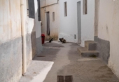 Village house for sale on España, Albuñuelas, ref: TR412556 photo