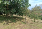Terreno no urbanizable en venta en la España, Pola de Siero, ref: TR412534 foto