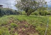 Terreno no urbanizable en venta en la España, Pola de Siero, ref: TR412534 foto