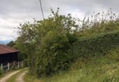 Terreno no urbanizable en venta en la España, Pola de Siero, ref: TR412534 foto