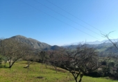 Terreno no urbanizable en venta en la España, Pola de Siero, ref: TR412534 foto