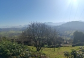 Terreno no urbanizable en venta en la España, Pola de Siero, ref: TR412534 foto
