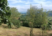 Terreno no urbanizable en venta en la España, Pola de Siero, ref: TR412534 foto
