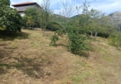 Terreno no urbanizable en venta en la España, Pola de Siero, ref: TR412534 foto