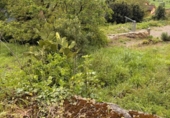 Terreno no urbanizable en venta en la España, Pola de Siero, ref: TR412534 foto