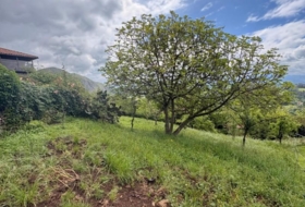 Pola de Siero 988&nbsp;m²