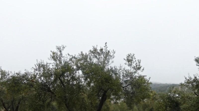 Гранада - Peligros - 6298m2