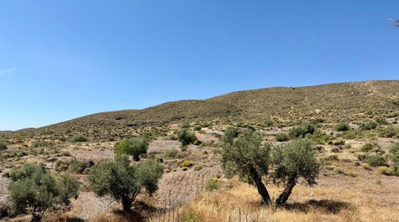 Альмерия - Alboloduy - 41800m2