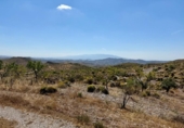 Casa de campo con terreno en venta en la España, Alboloduy, ref: TR412564 foto