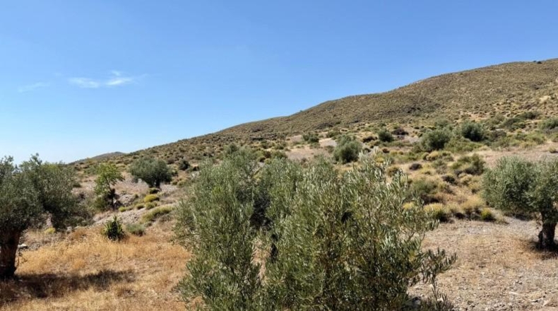 Альмерия - Alboloduy - 41800m2