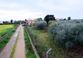 Casa de campo con terreno en venta en la España, Montijo, ref: TR412551 foto