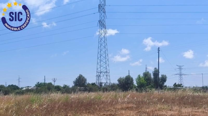 Кастельон - Castelló de la Plana - 2129m2