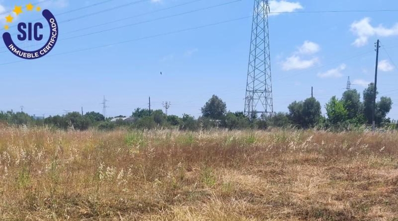 Кастельон - Castelló de la Plana - 2129m2
