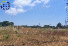 Castellón de la Plana 2129&nbsp;m²