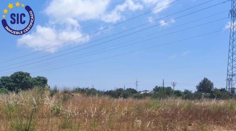 Кастельон - Castelló de la Plana - 2129m2