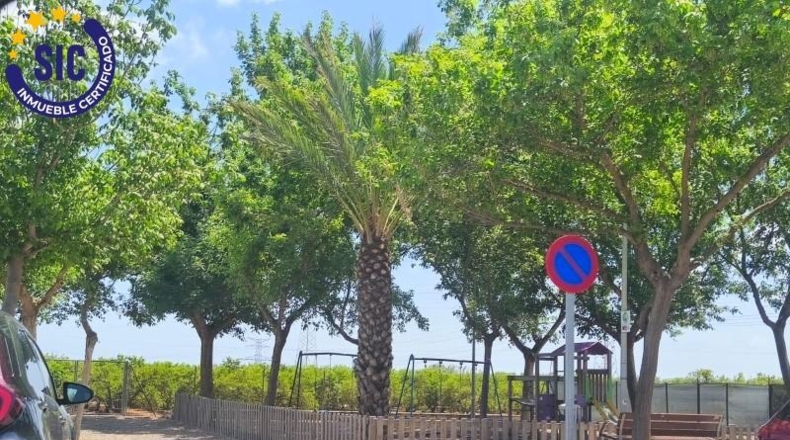 Кастельон - Castelló de la Plana - 2129m2