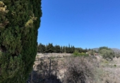 Non-developable land for sale on España, Benissa, ref: TR131272 photo